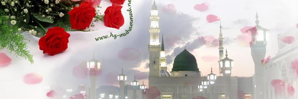 Hasnain_Hashmi_'s profile banner image