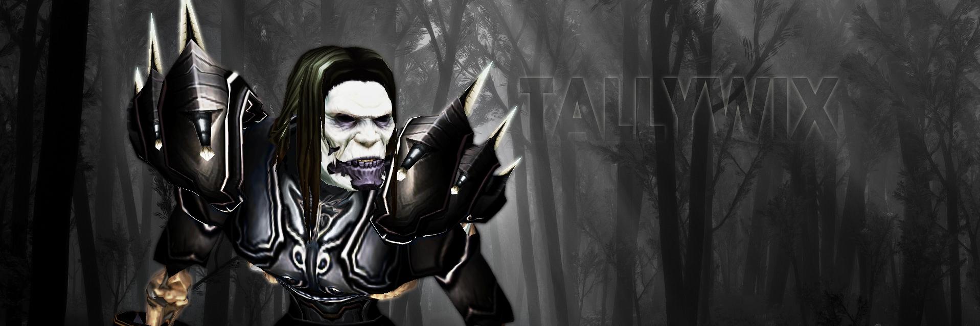 Tallywix banner