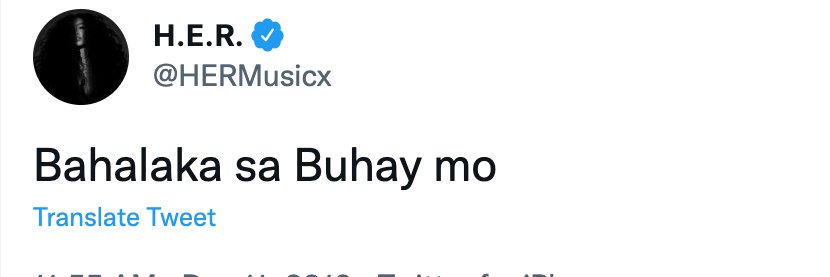 Erica Gonzales banner