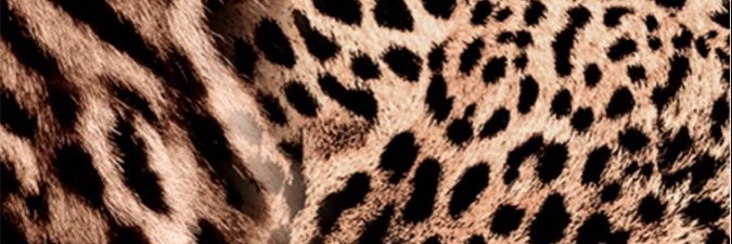 Melunch_a's profile banner image