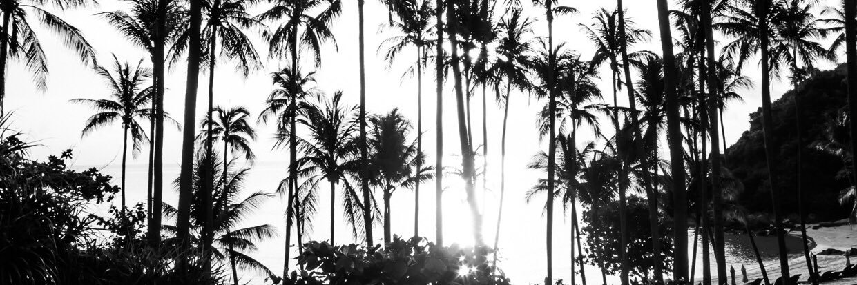 ricolgrms's profile banner image