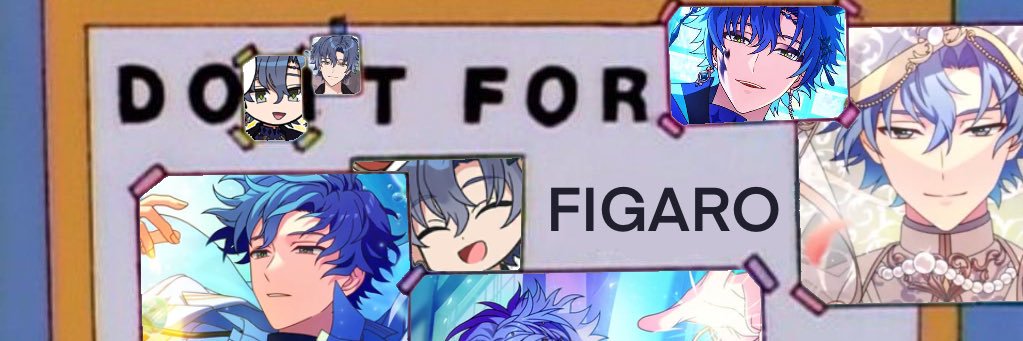 菲. banner