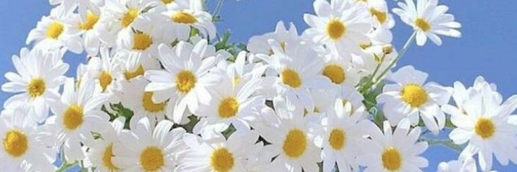 YoungPeterPark's profile banner image