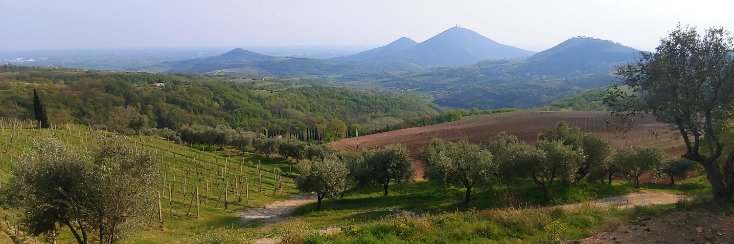 Massimo Tommolillo 🛋️🍲 banner