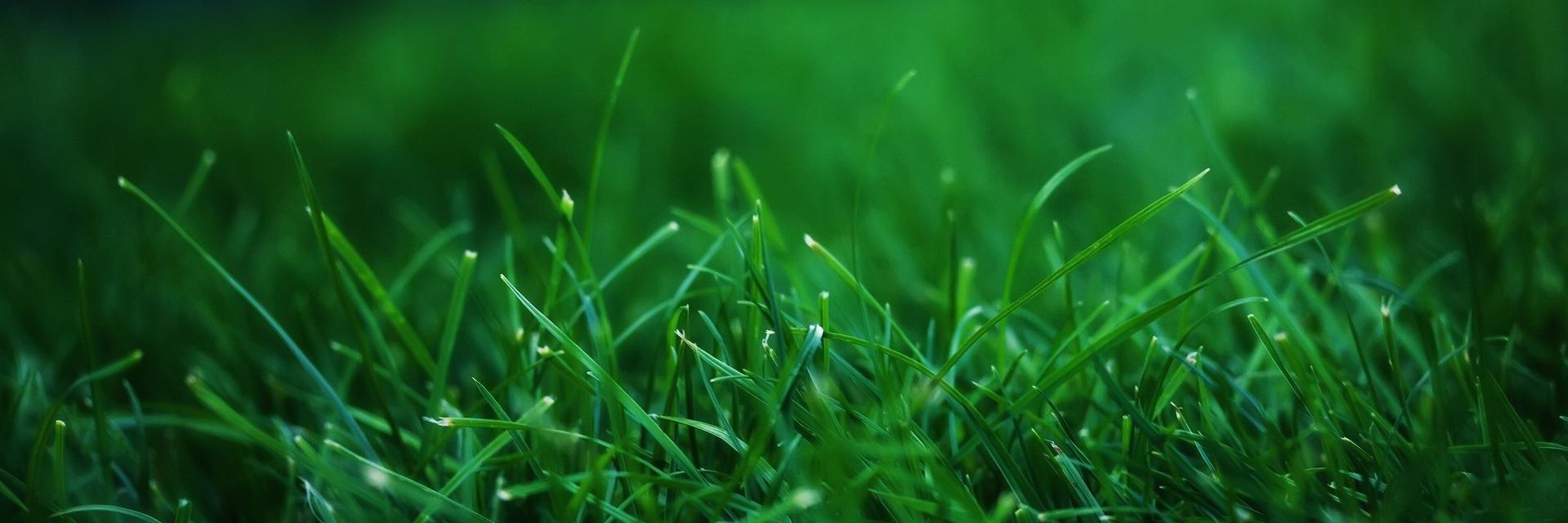 EWOYouth's profile banner image