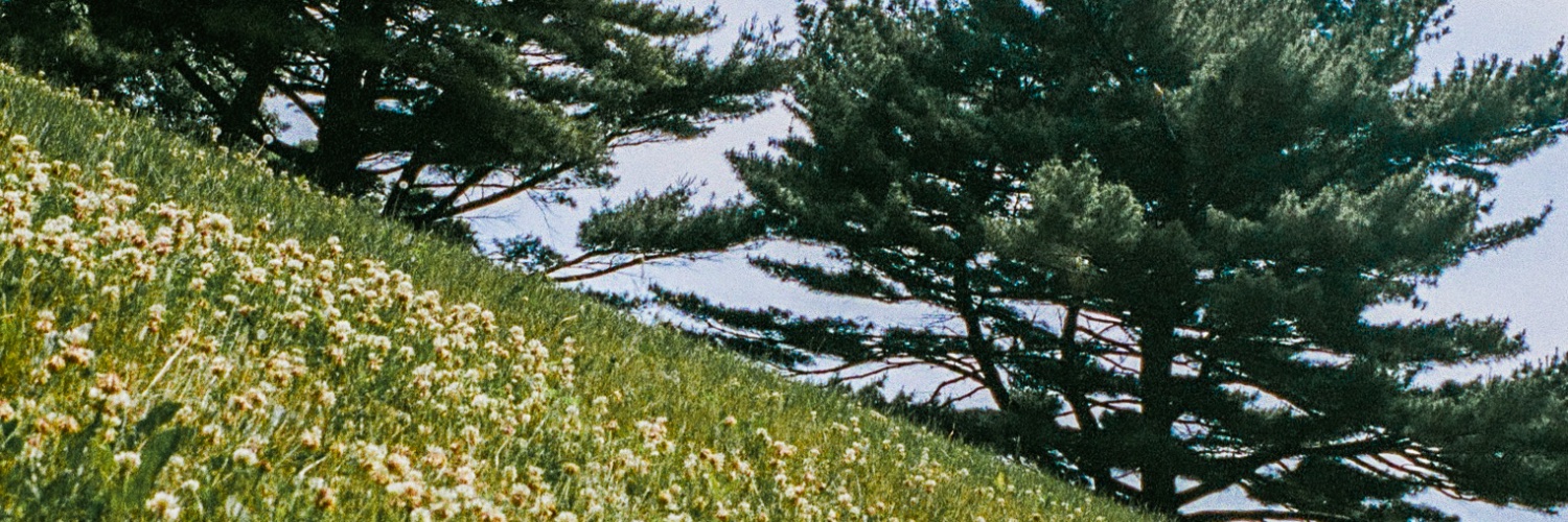 Dylan Rockoff banner