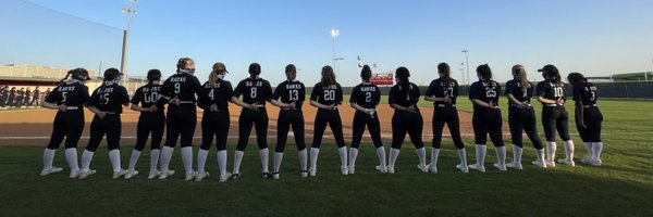 HHawkSoftball Profile Banner