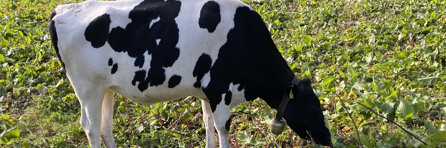 Angelique 😢 Lost faith in Swiss authorities banner