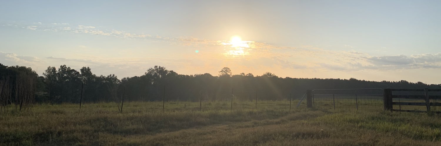 Martha Anne Williams banner