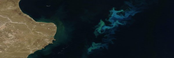 aburlacot Profile Banner