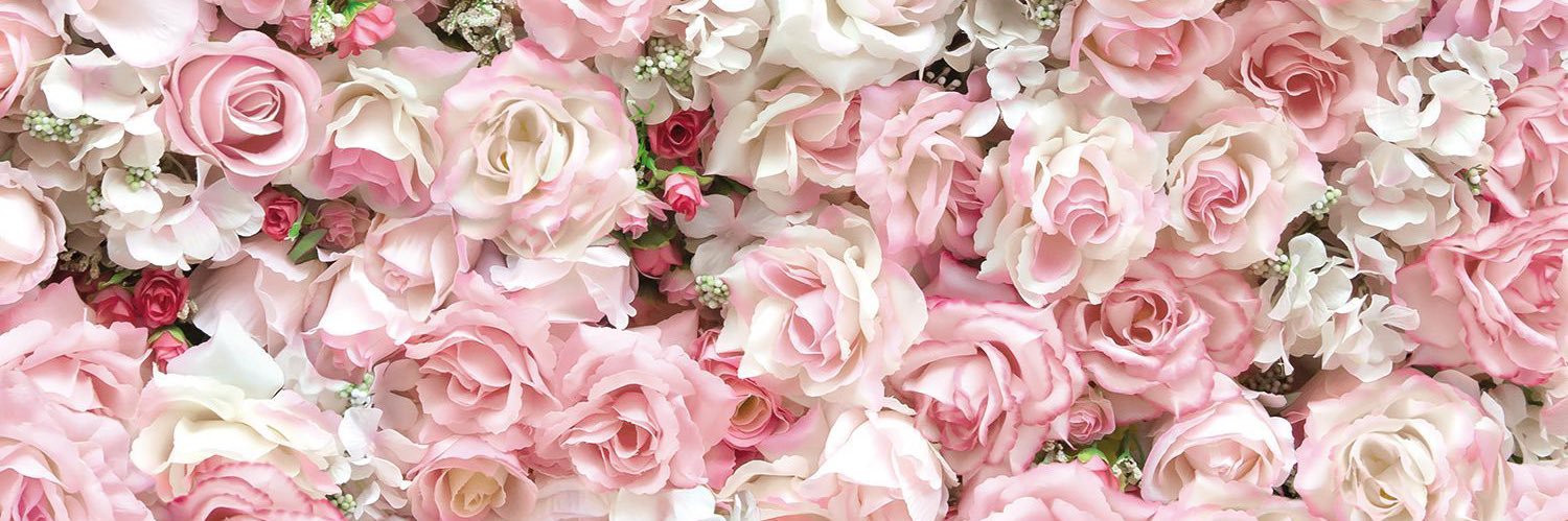 Cecile_allgr's profile banner image