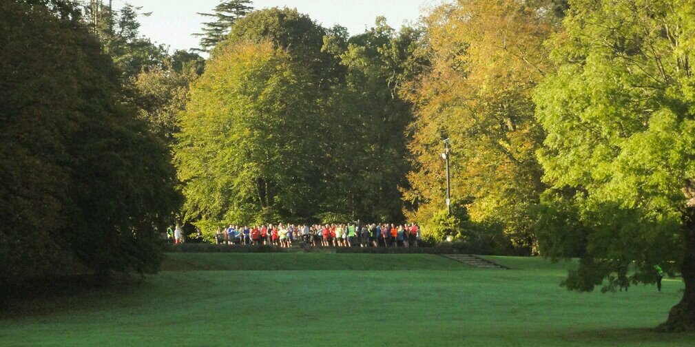 stewartparkrun's profile banner image