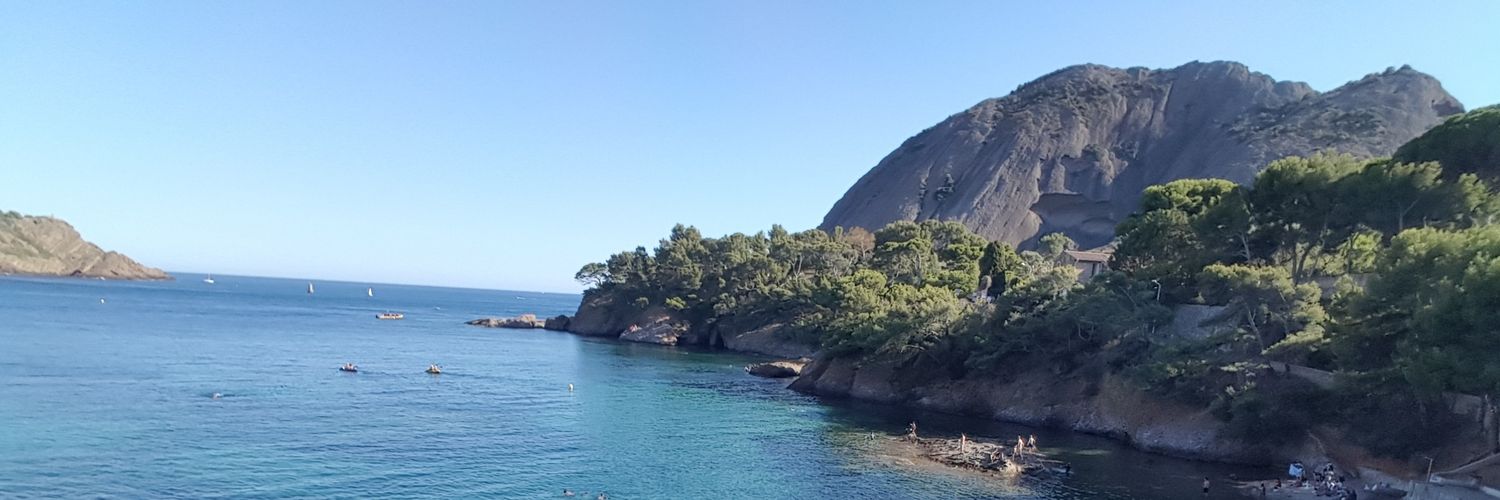 Jacques Ribeiro banner