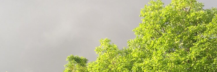 MarcoTraibel's profile banner image