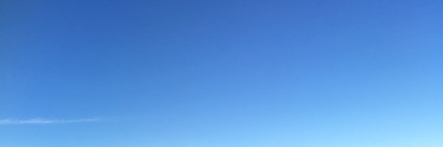 Judith Sevinc Basad banner