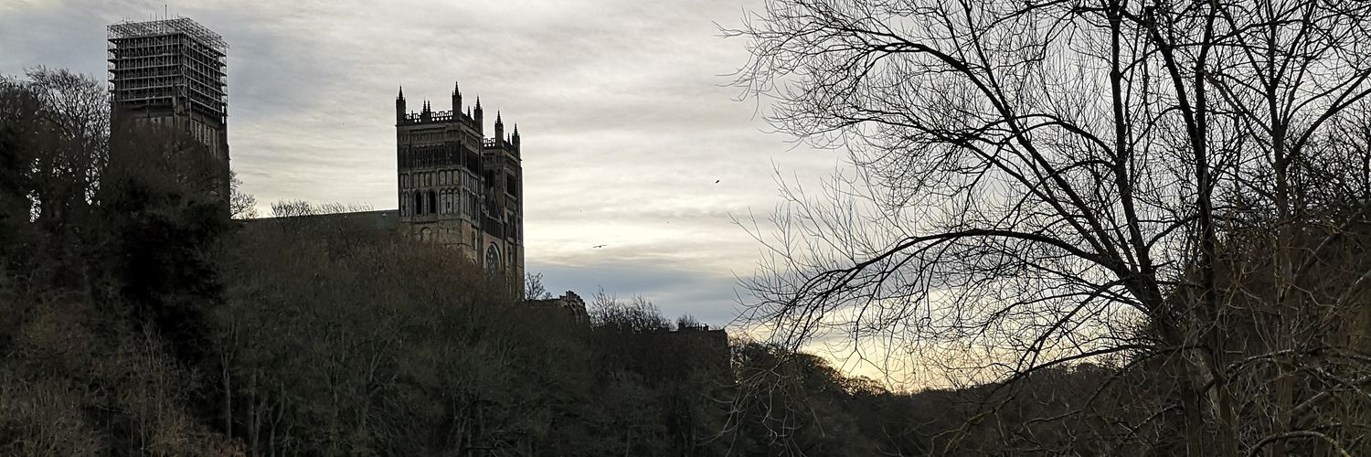 Sarah Richardson banner