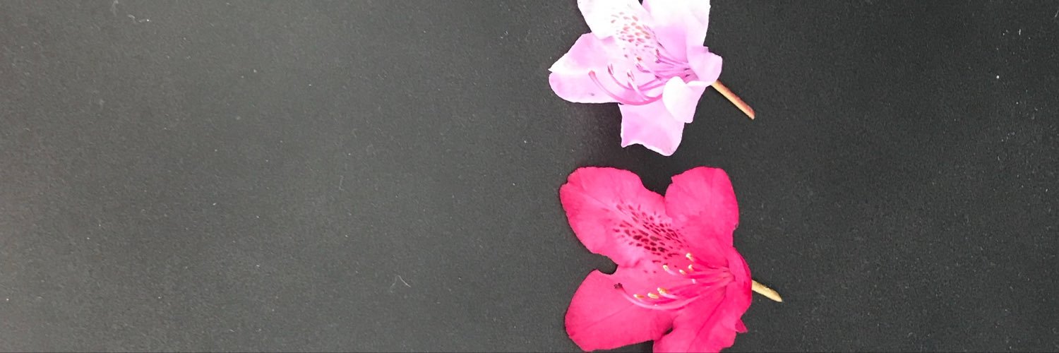 WillFosterProxy's profile banner image