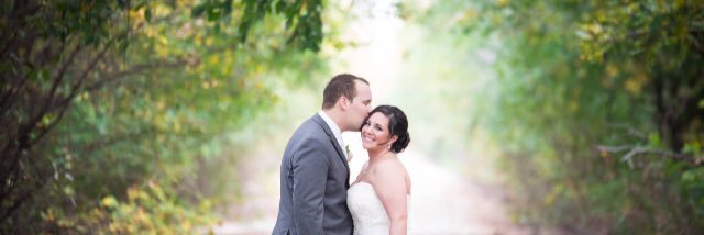 AllyAlmquist's profile banner image