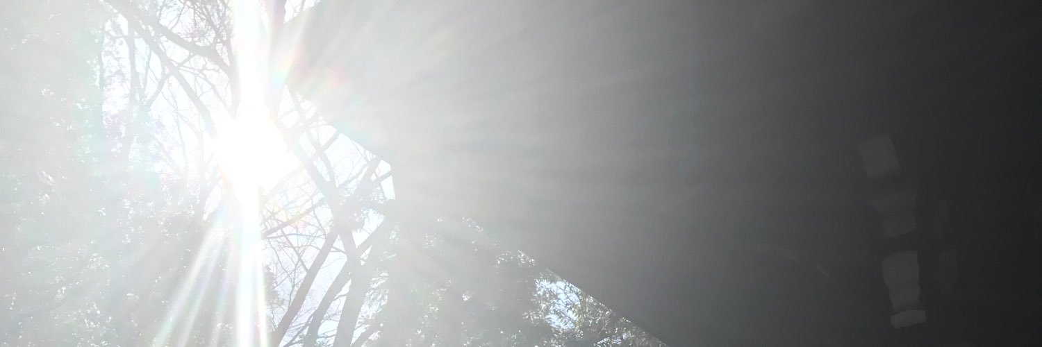 しゃむねこ banner
