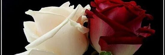 mido71_moh's profile banner image