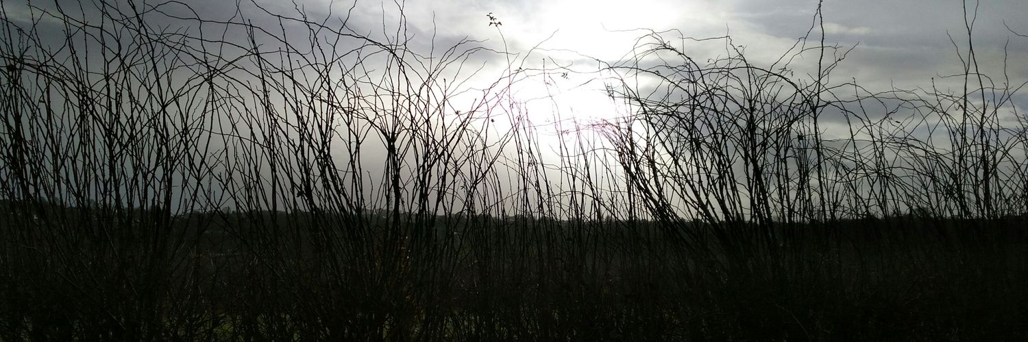 Loveslifelots's profile banner image