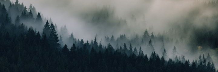 basiliskhorn's profile banner image