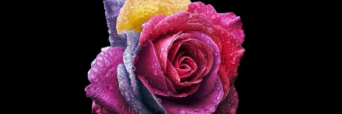 mutisomathew's profile banner image