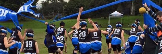 CamberwellShark's profile banner image