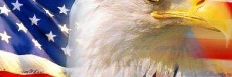 carmine pellechio banner