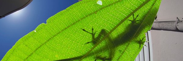Kmwinchell Profile Banner