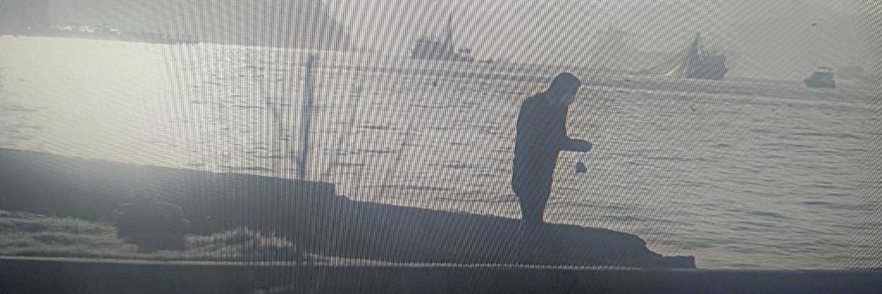 vicky baumann banner