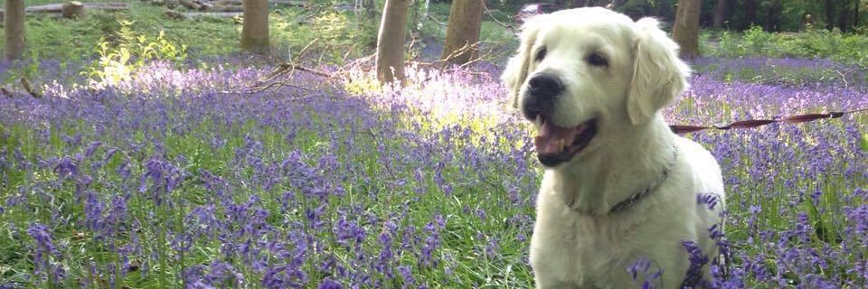 Liddy125's profile banner image