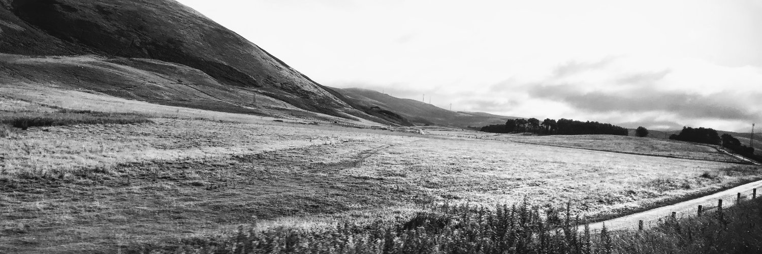 David Lafferty banner