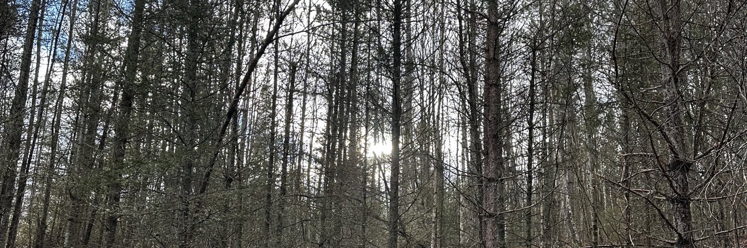 AshleySantoss's profile banner image