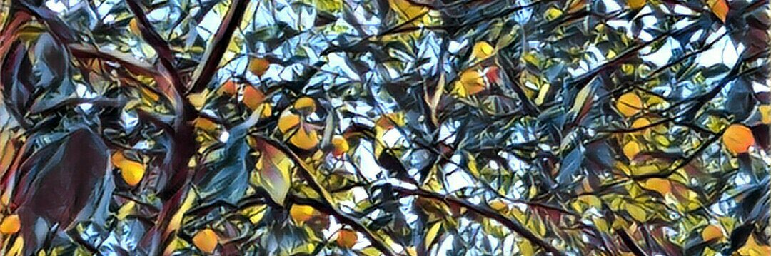 annaisspry's profile banner image