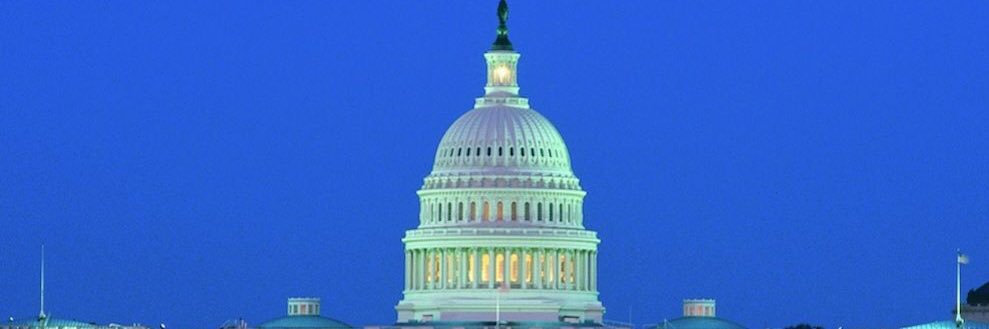 Nicole Kaeding banner