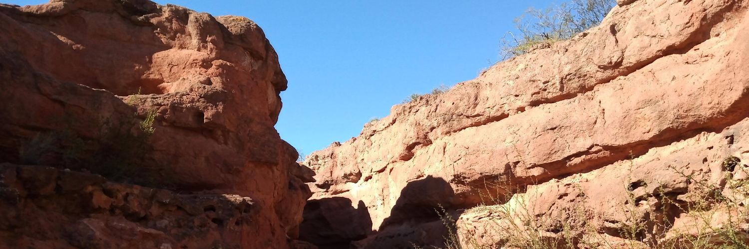 vimvazquez's profile banner image