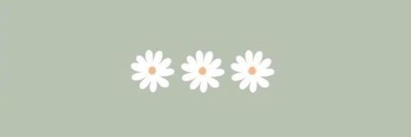 brookechry's profile banner image