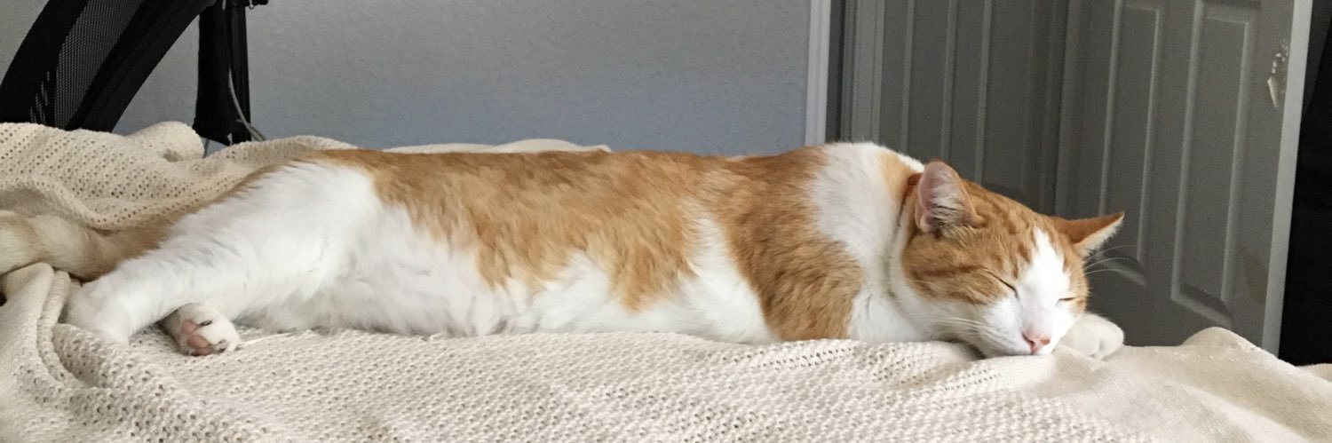 markpizz's profile banner image