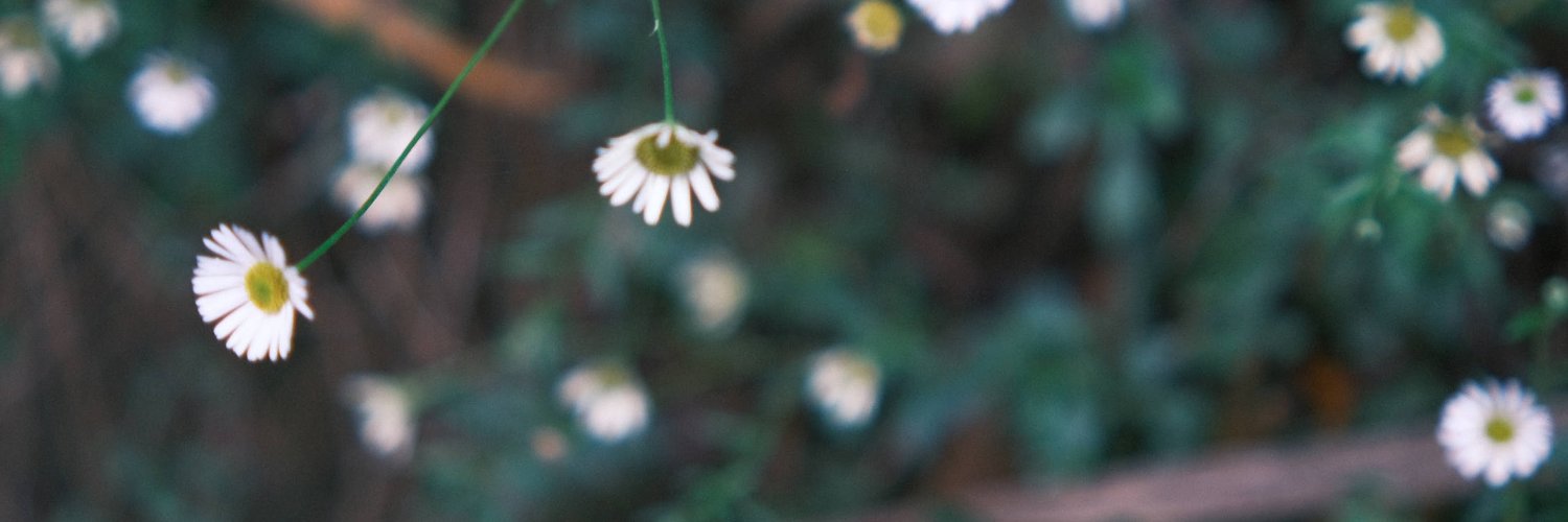 robert yamamoto banner