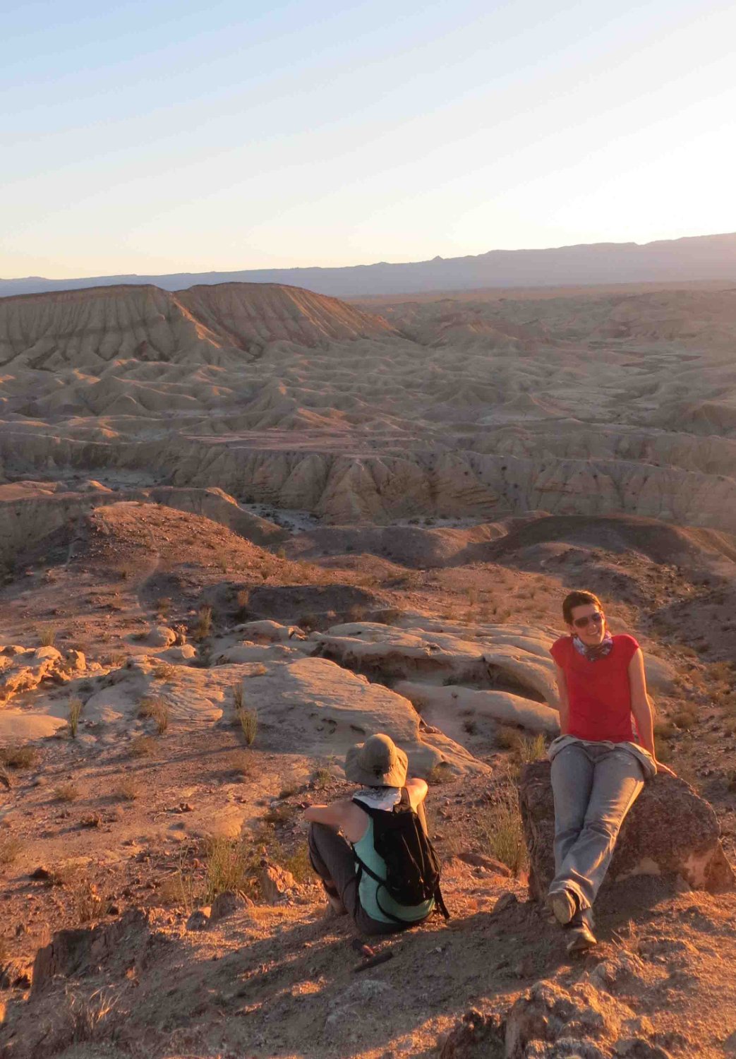 Camilla Souto banner