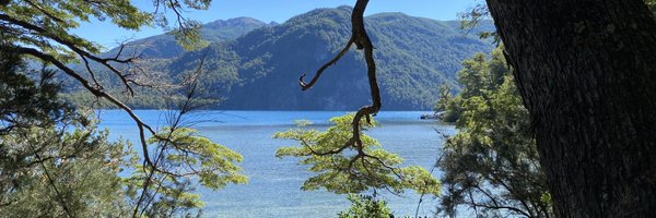 AleRepetto5 Profile Banner