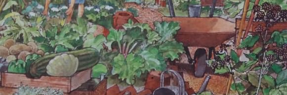 secaedelarbol's profile banner image