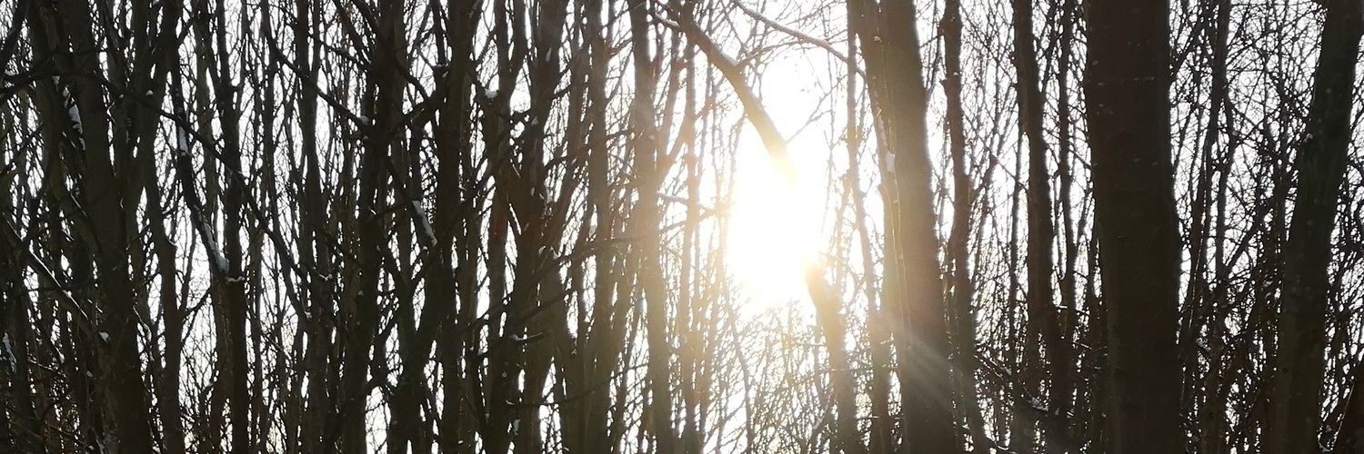 am_y72's profile banner image