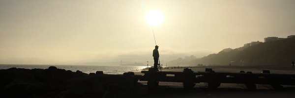 throwbookatthem Profile Banner