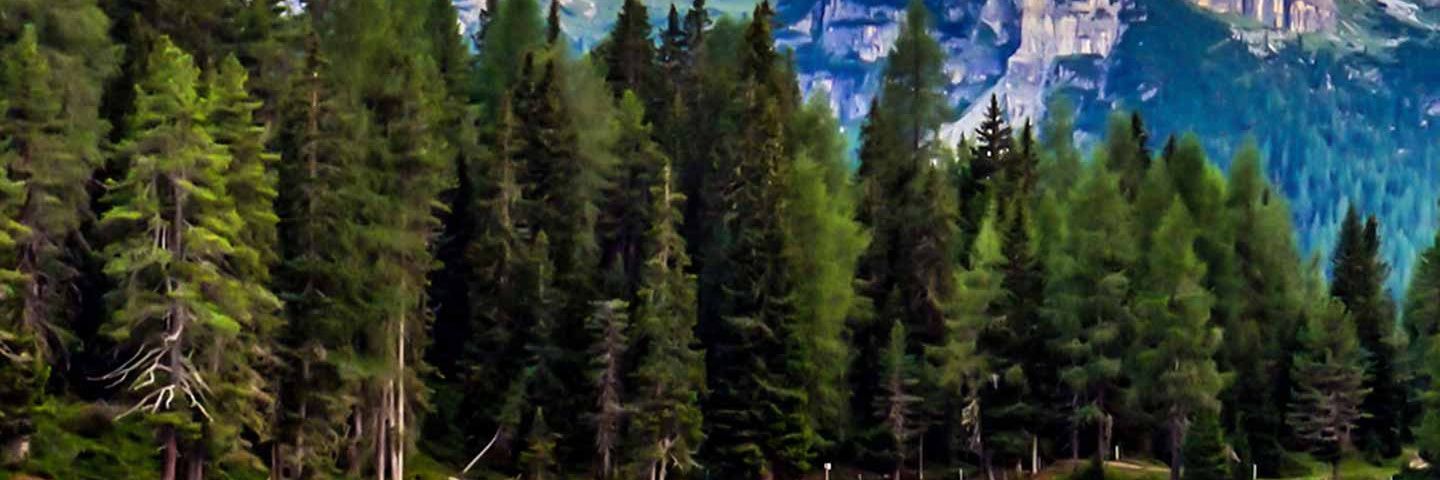 anw058's profile banner image