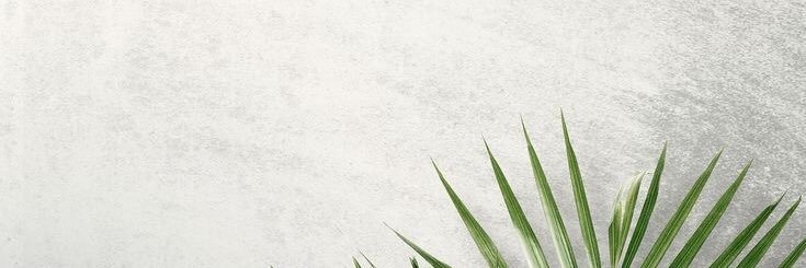 astridapontec's profile banner image