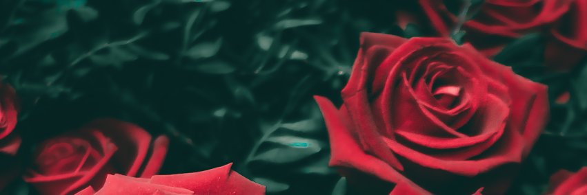 LondonLoverrr's profile banner image