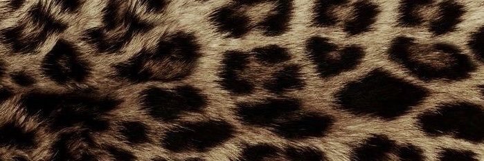 rafif6767's profile banner image