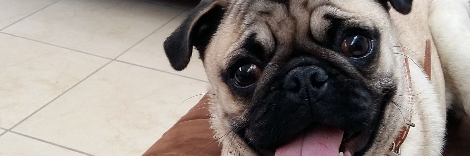 erickito1981's profile banner image